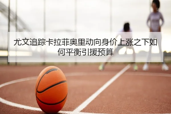 you-wen-zhui-zong-ka-la-fei-ao-li-dong-xiang-shen-jia-shang-zhang-zhi-xia-ru-he-ping-heng-yin-yuan-yu-suan-2-892.jpg
